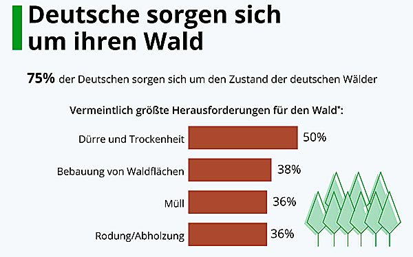Deutschesorgensichum-Wald1